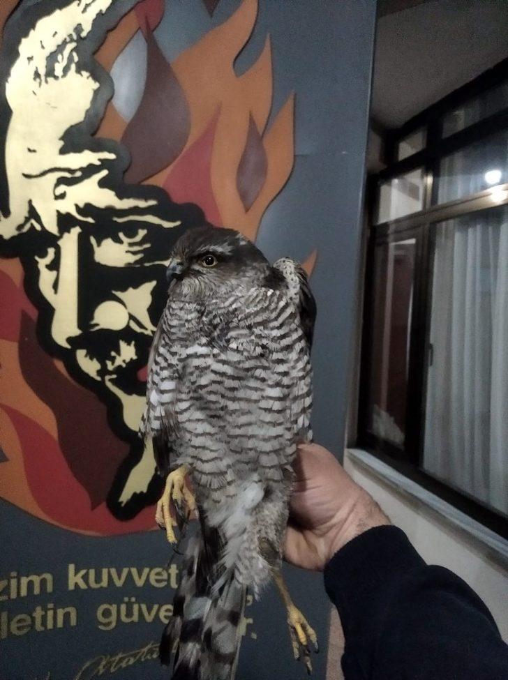 Yaralı Doğan’ın yardımına itfaiye yetişti G3