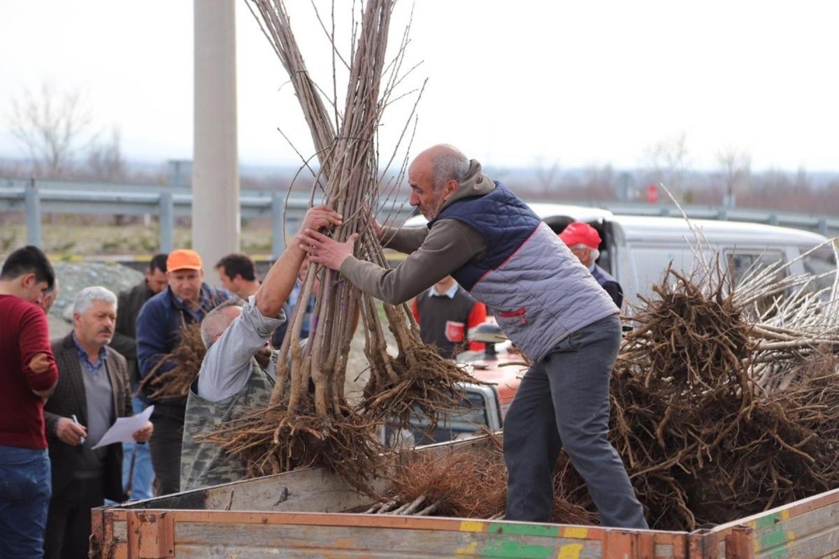 B&uuml;y&uuml;kşehir&rsquo;den &ccedil;ift&ccedil;iye fidan ve fide desteği