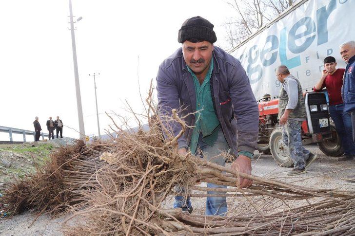Büyükşehir’den çiftçiye fidan ve fide desteği G2