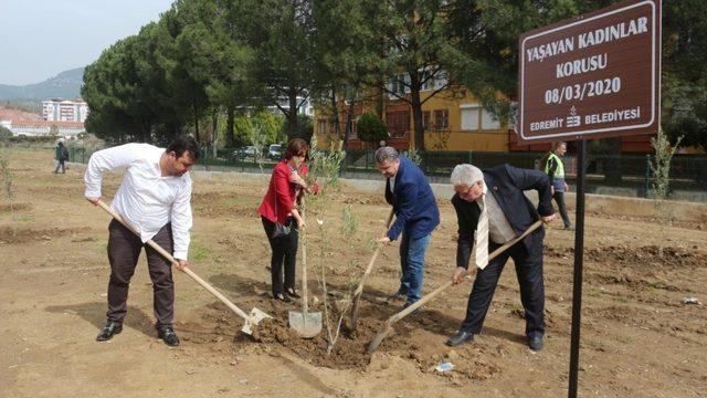 Kadınlar gününe zeytin fidanlı destek