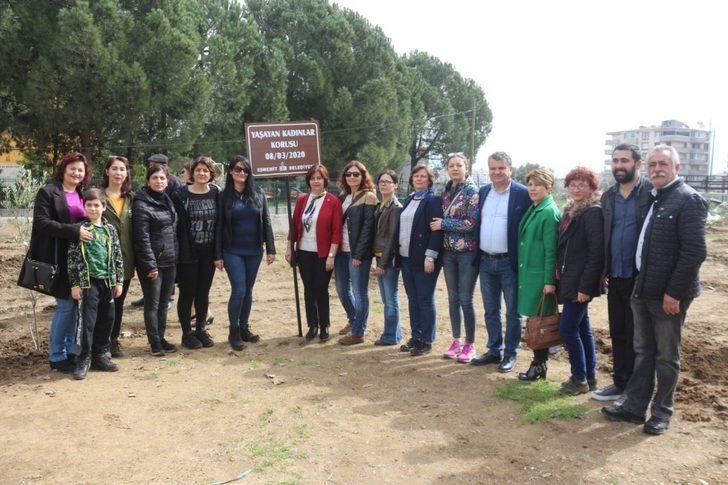 Kadınlar gününe zeytin fidanlı destek G3