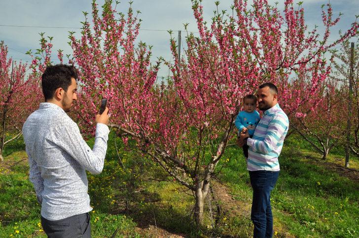 Baharın gelişiyle rengarenk oldu! Amik Ovası'nı bir de şimdi görün G2