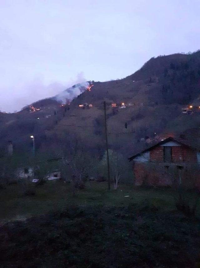 Trabzon’da orman yangını