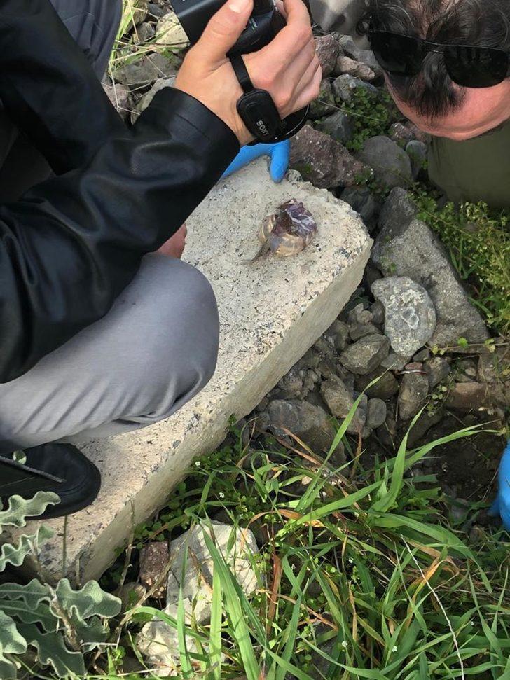 Anne ve 5 yaşındaki oğlunu öldüren şüpheli tutuklandı G2