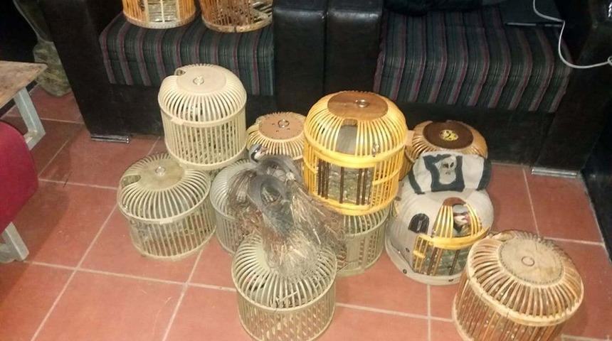 Yol kontrolünde keklik avlamak için kurulan tuzak düzenekleri ele geçirildi