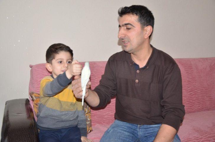 Fanatik Beşiktaşlı muhabbet kuşu evin maskotu oldu G2