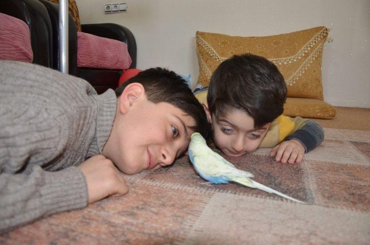 Fanatik Beşiktaşlı muhabbet kuşu evin maskotu oldu G3