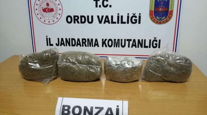 Ordu&rsquo;da uyuşturucu operasyonu