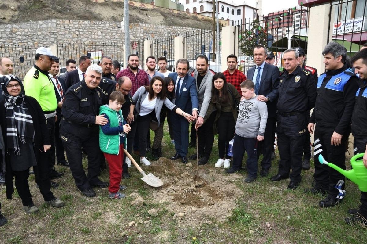 Yeşil bitki &ouml;rt&uuml;s&uuml;ne destek amacıyla fidan dikimi yapıldı