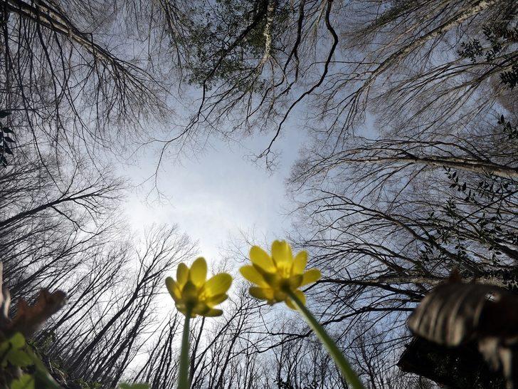 İğneada Longoz Ormanları güzelliği ile büyülüyor G5