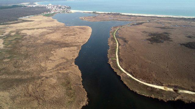 İğneada Longoz Ormanları güzelliği ile büyülüyor