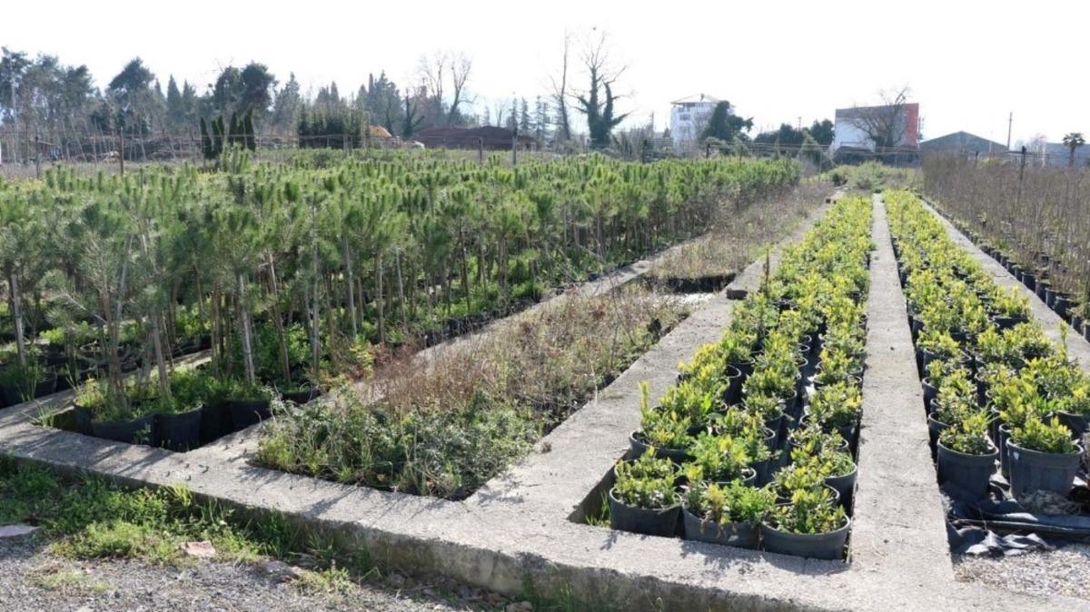&Uuml;retim Fidanlığı sayesinde Kocaeli yeşilleniyor