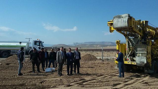 Yazıhan’da Trabzon Hurması yetişecek