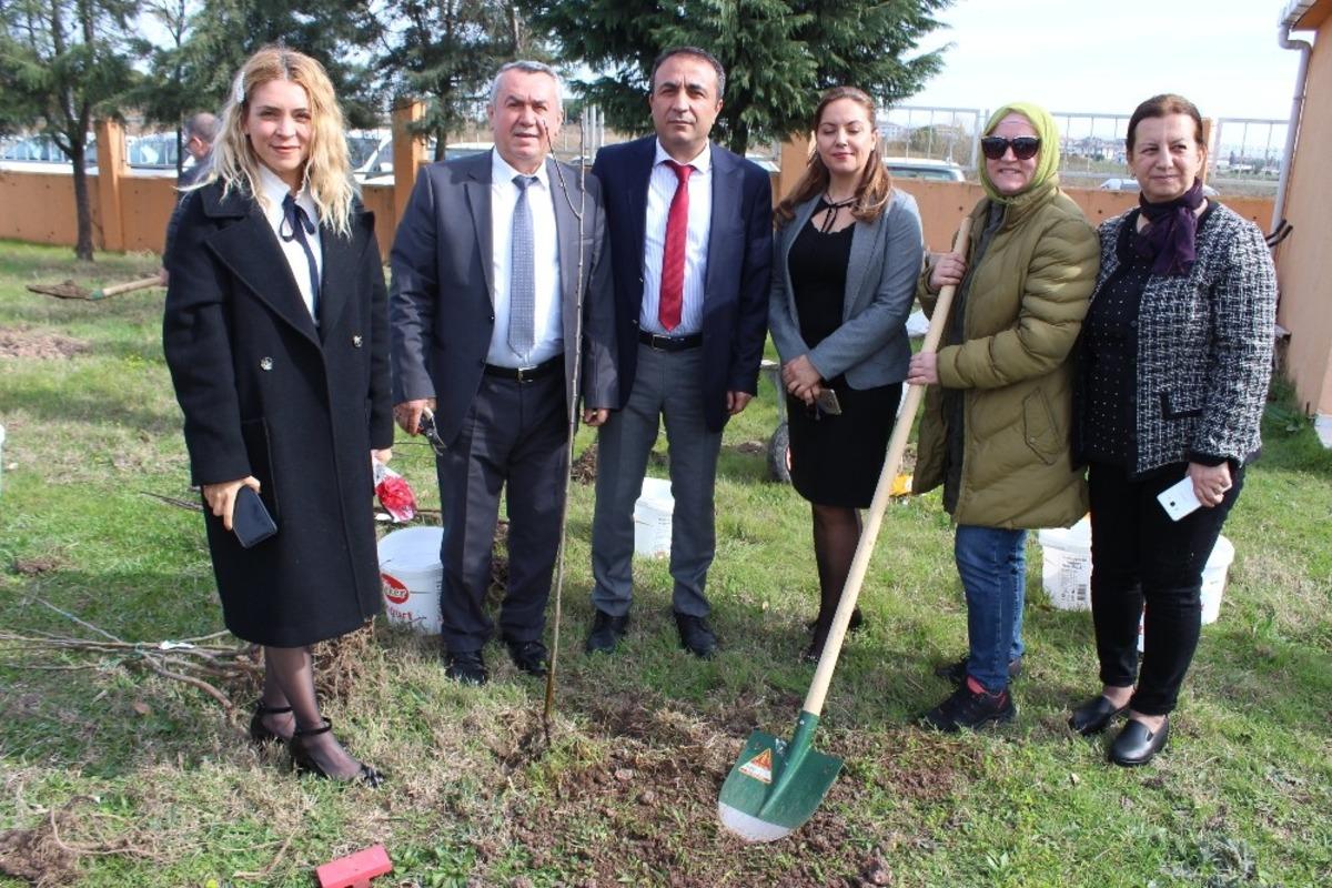 Lisenin bah&ccedil;esi meyve bah&ccedil;esi oldu