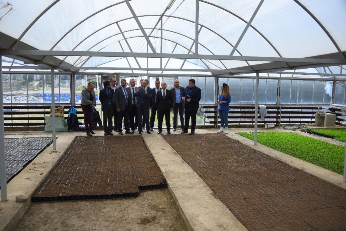 Salihli&rsquo;ye teknolojik sera kurulacak