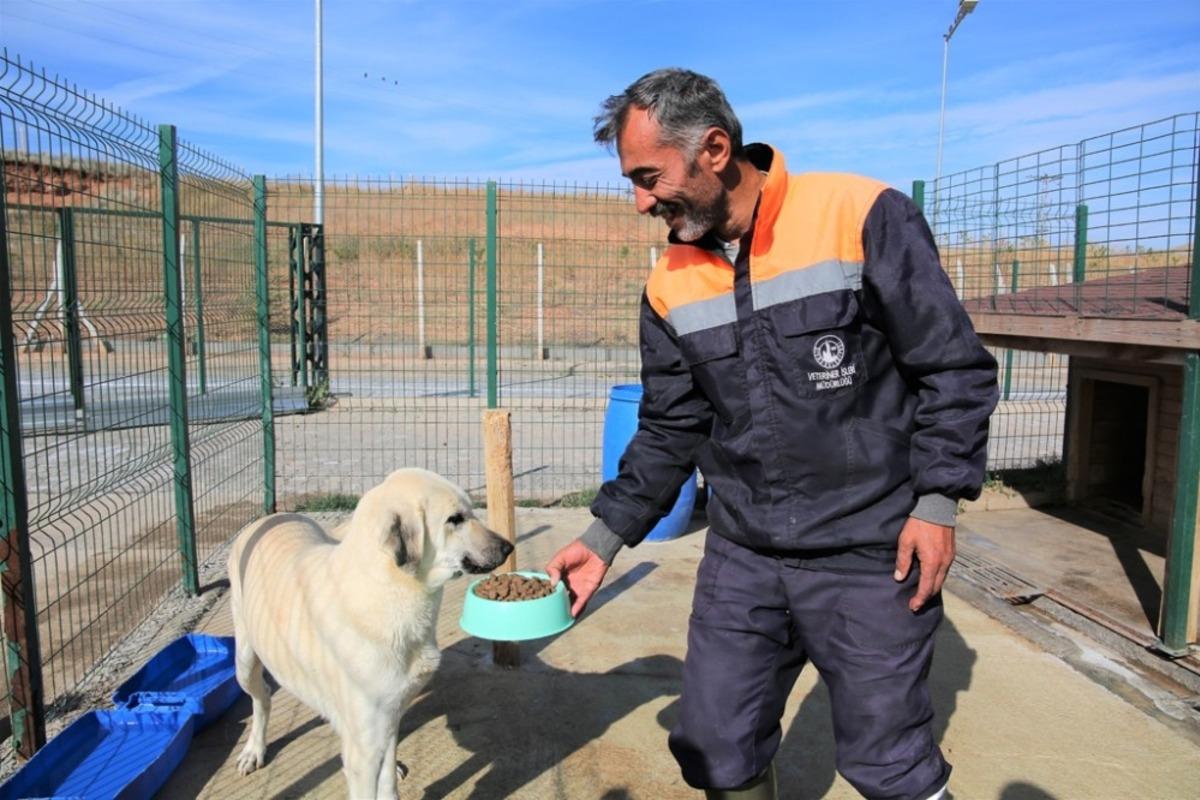Koronavir&uuml;s&rsquo;e karşı hayvan barınağı ziyaretlere kapatıldı