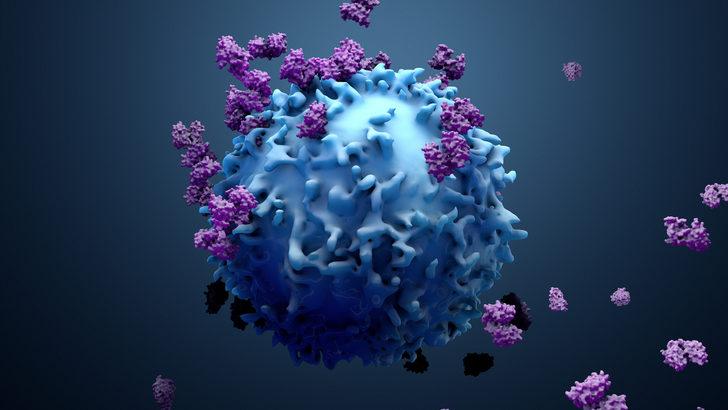 Koronavirüse karşı bağışıklık güçlendirme yolları