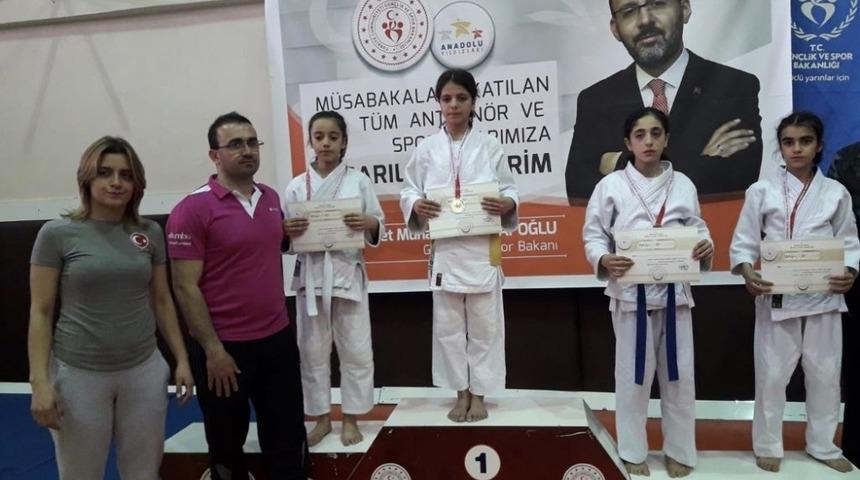 Vanlı judoculardan büyük başarı