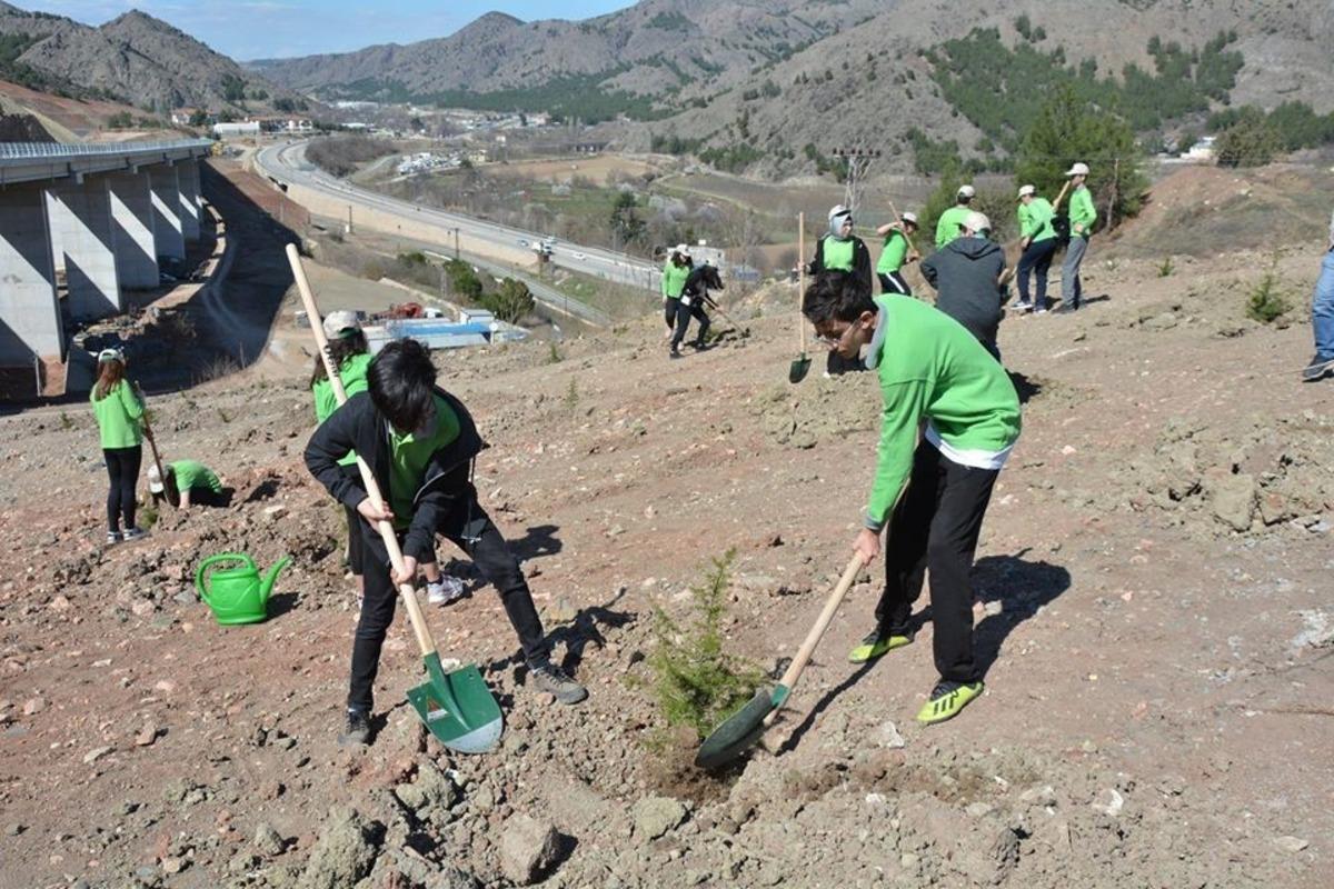 İdlib şehitleri i&ccedil;in fidan dikildi