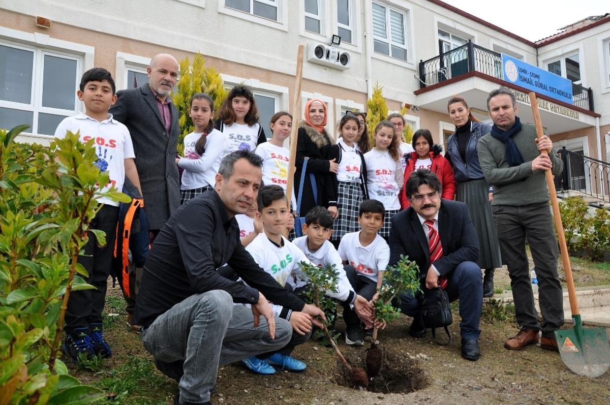 &Ccedil;eşmeli &ouml;ğrenciler Sakız Ağacı dikti
