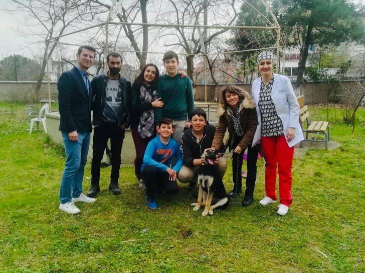 Karamel ve Köpük’e kardeş geldi G1