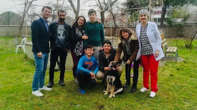 Karamel ve Köpük’e kardeş geldi