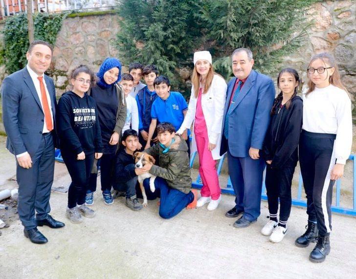 Karamel ve Köpük’e kardeş geldi G2