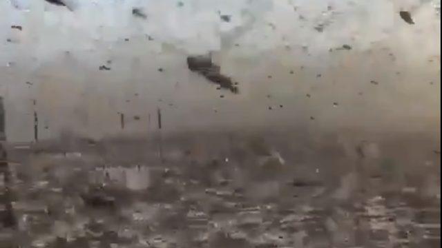 Çekirge istilası nerede? Türkiye’ye mi yaklaşıyor? 