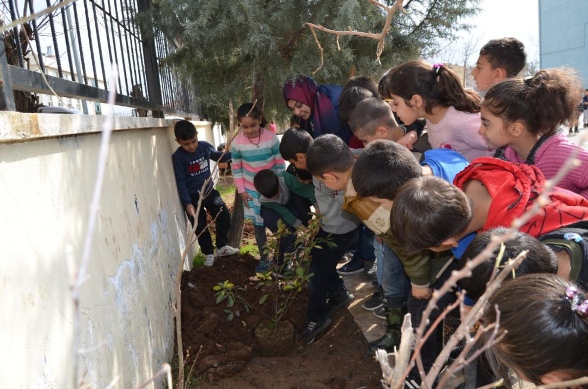 Bağlar Belediyesinden okullarda yeşil alan seferberliği