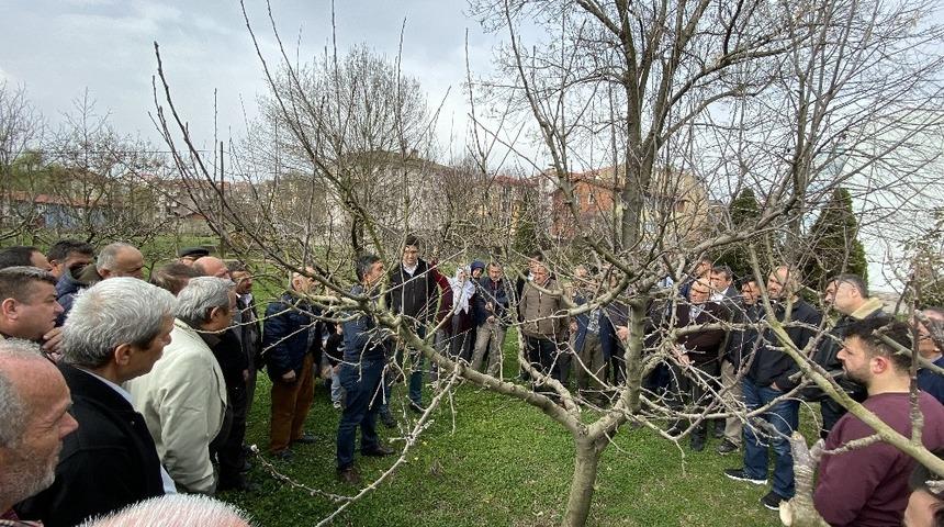 &Ccedil;ift&ccedil;ilere uygulamalı budama eğitimi