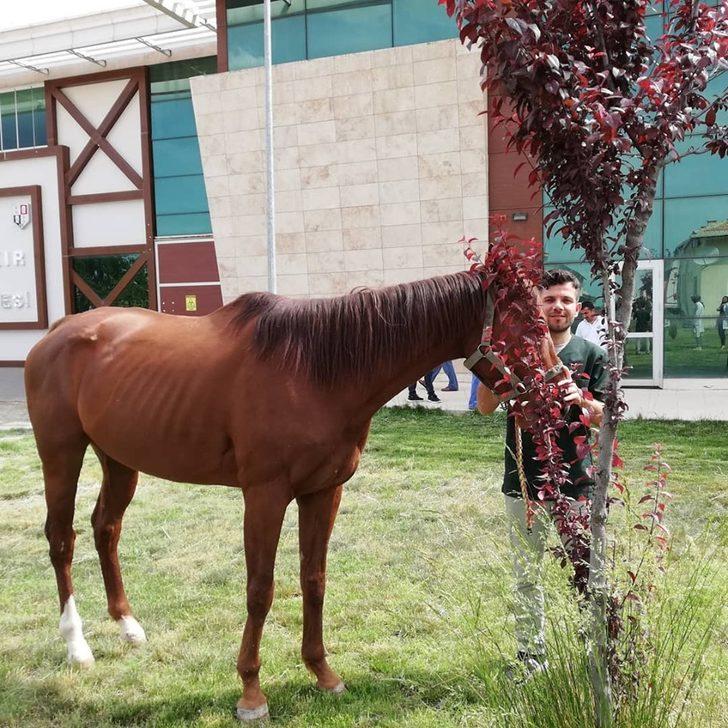 Veteriner fakültesi öğrencileri hipodromda pratik yaptı G3