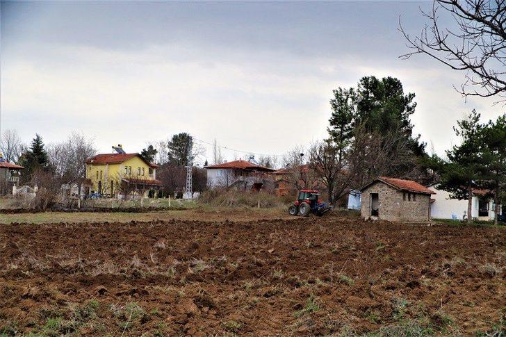 Lavanta Yetiştiriciliği Demonstrasyon Eğitim Bahçesi Projesi G1