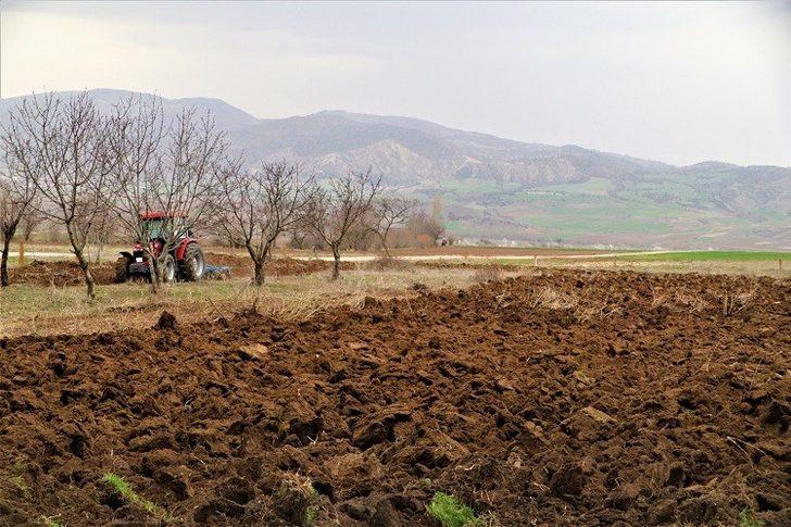 Lavanta Yetiştiriciliği Demonstrasyon Eğitim Bahçesi Projesi G2