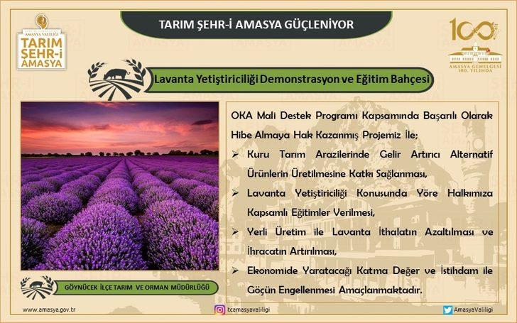 Lavanta Yetiştiriciliği Demonstrasyon Eğitim Bahçesi Projesi G4