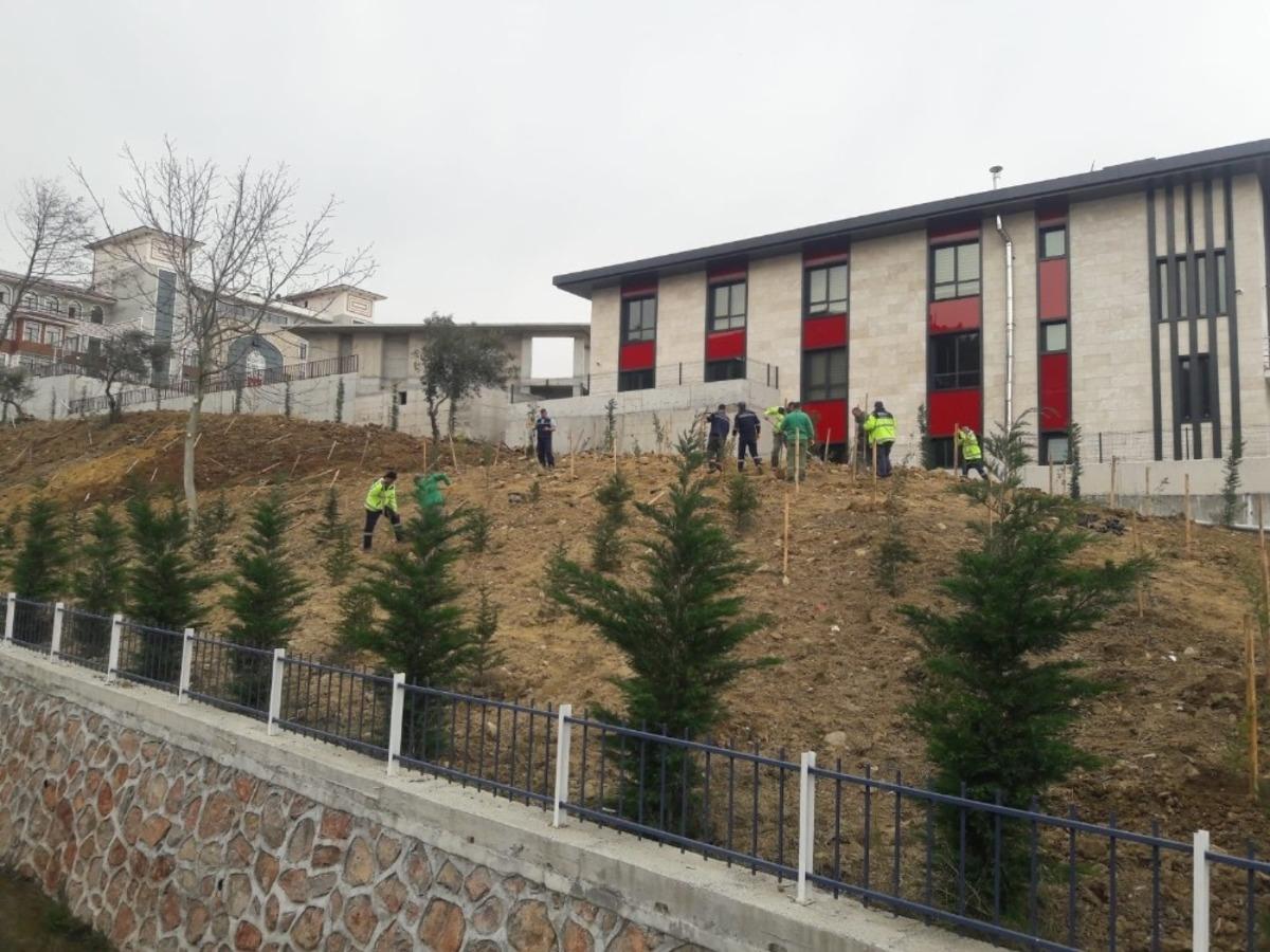 Karam&uuml;rsel İtfaiye Binası &ccedil;evresinde ağa&ccedil;landırma