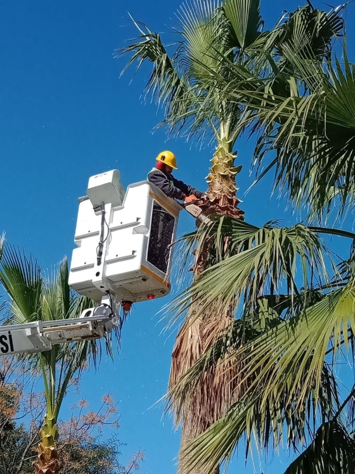 Ortaca yaz mevsimine hazırlanıyor