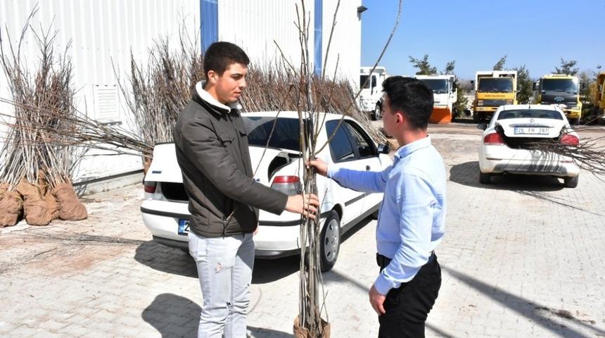 İn&ouml;n&uuml;&rsquo;de 4 bin ceviz fidanı toprakla buluşacak