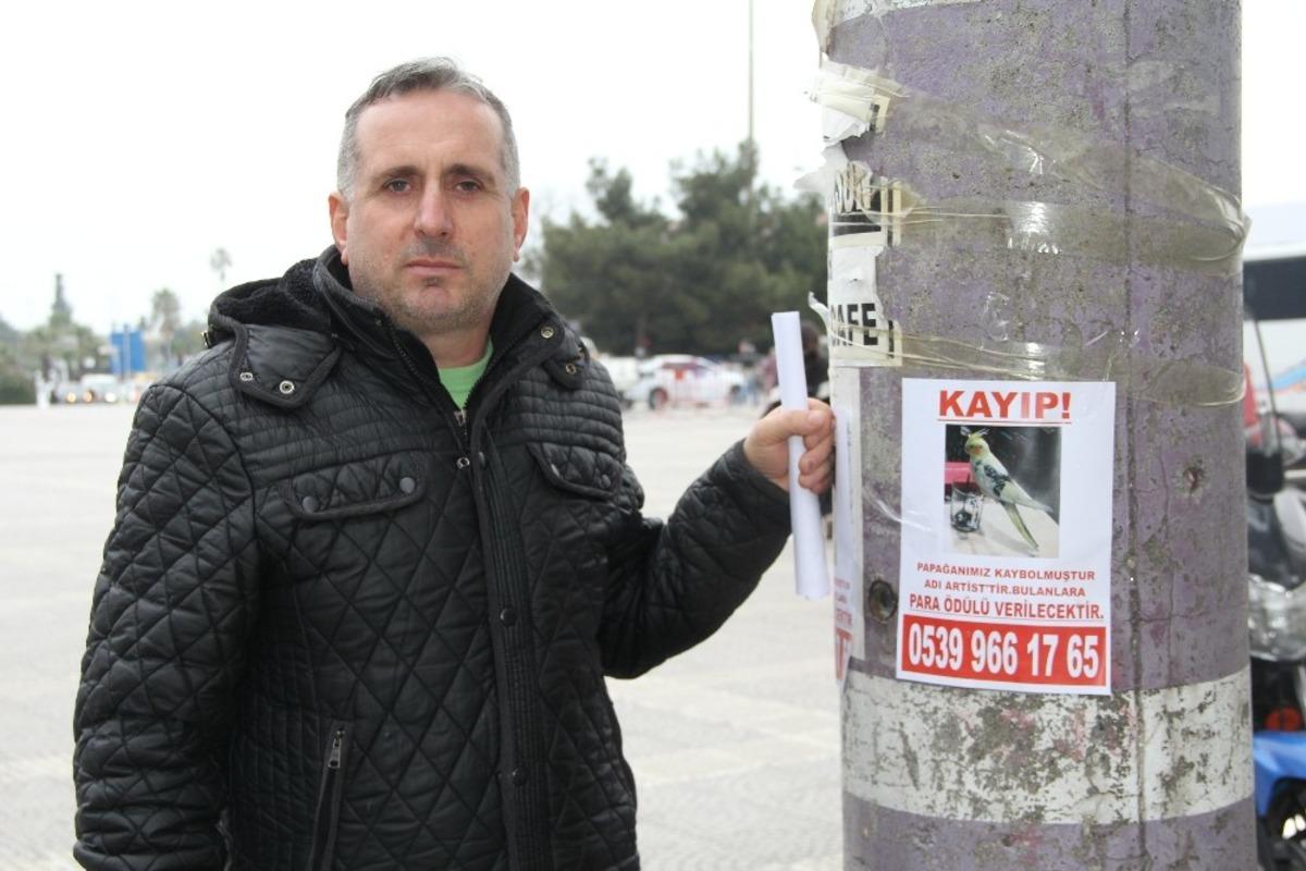 &lsquo;Artist&rsquo;i bulanı &ouml;d&uuml;llendirecek