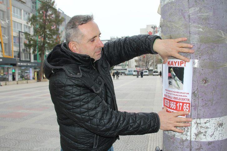 ‘Artist’i bulanı ödüllendirecek G2