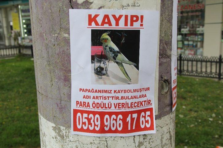 ‘Artist’i bulanı ödüllendirecek G3