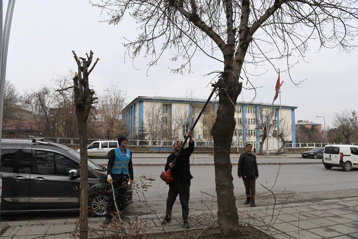 Muş belediyesinden ağaç budama çalışmaları G4