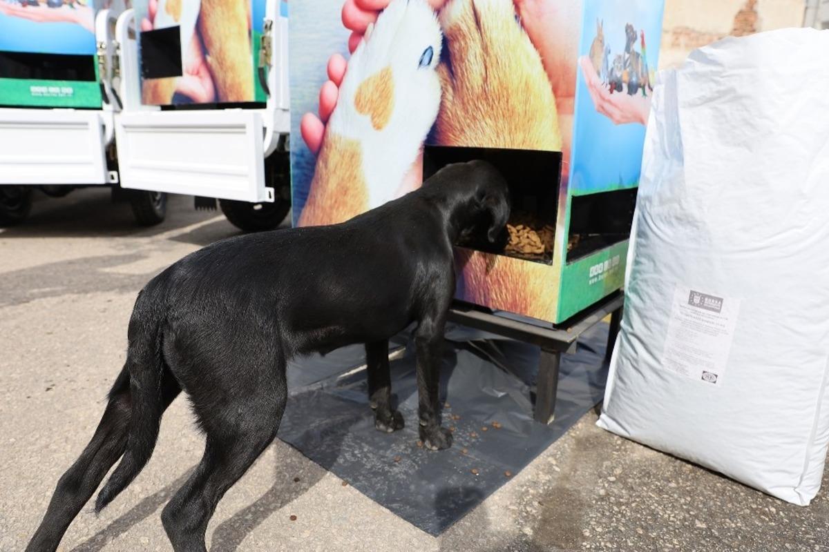 Bursa&rsquo;da Can dostları sahipsiz değil