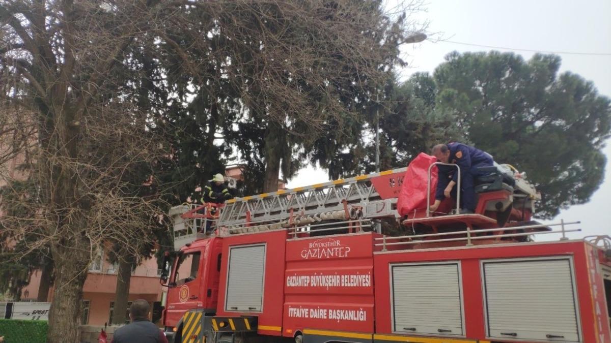 Ağa&ccedil;ta 2 g&uuml;n mahsur kalan kedi kurtarıldı