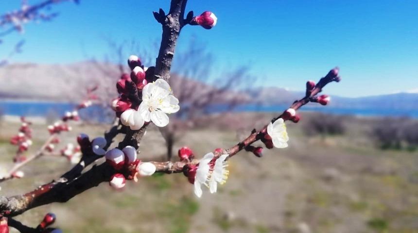 Meteoroloji&rsquo;den Aydın&rsquo;a zirai don uyarısı