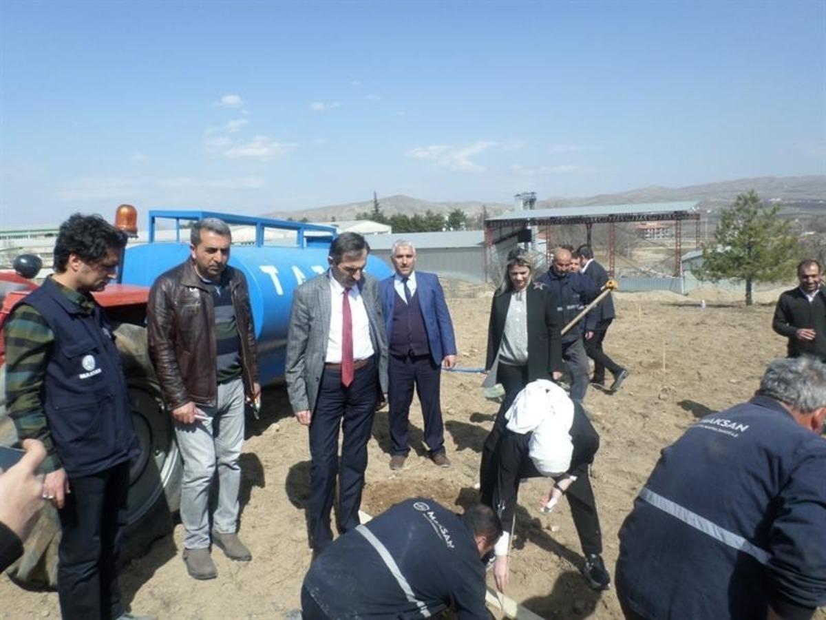 Malatya&rsquo;da Antepfıstığı dikimi