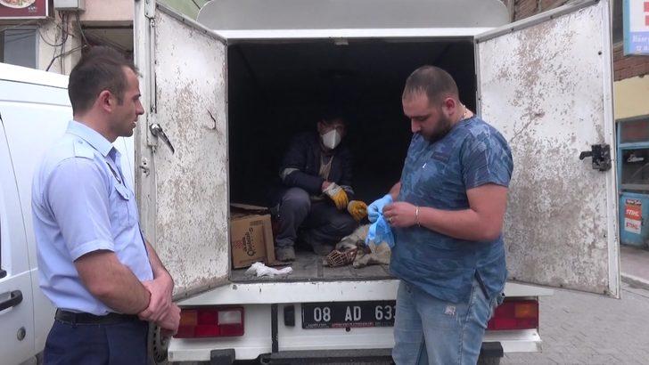 Otomobilin çarptığı köpek, tedaviye alındı G2