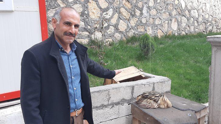 Nesli tükenme tehlikesiyle karşı karşıya! Adıyaman'da görüldü G3