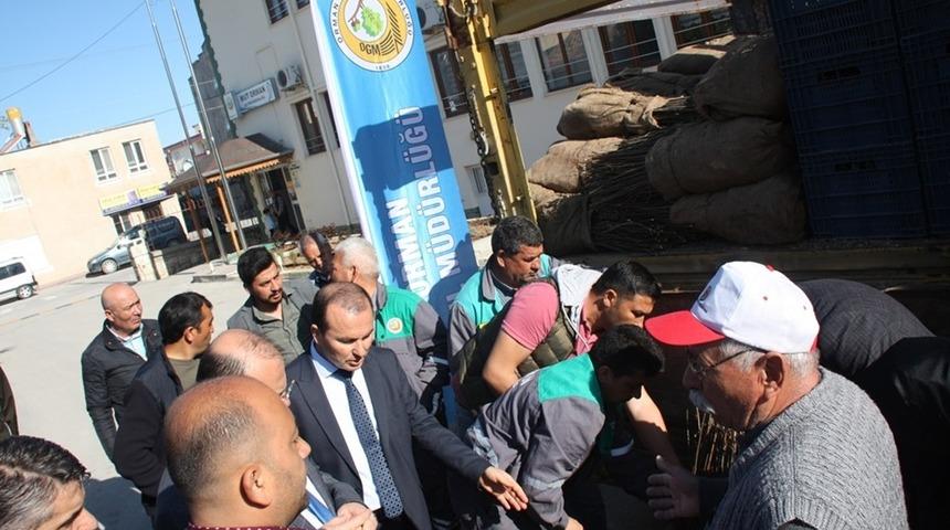 Mut&rsquo;ta 7 bin adet ada&ccedil;ayı fidesi dağıtıldı