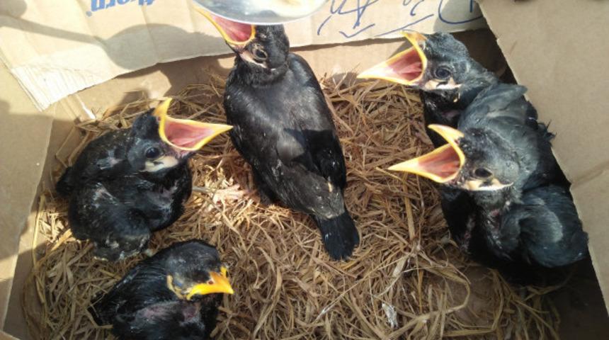 Dünya koronavirüsten yıkılıyor! O ürünler hala satılıyor