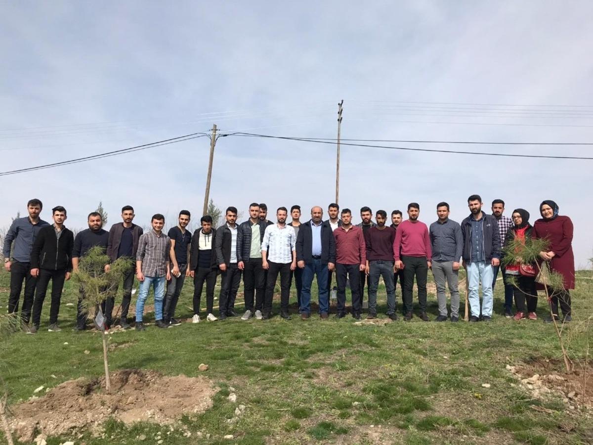 İdlib şehitleri anısına fidan dikildi